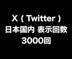 X日本国内からの表示回数を3000回増やします イメージ1