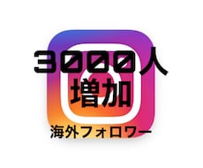 インスタ +3000人　海外フォロワー増やします イメージ1