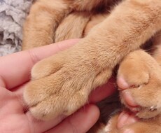 対したこと言えないけど相談のります イメージ1