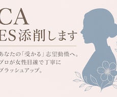 客室乗務員を目指す方へ⭐︎ES添削します イメージ1
