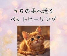 アニマルコミュニケーターがペットヒーリングをします ⭐︎オーダーメイドの遠隔気功ペットヒーリングで癒しをお届け☆