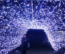 霊視タロット守護霊や、気になる相手の魂に入り気持ち聞きます。(本音知りたくない方はご遠慮下さい) 