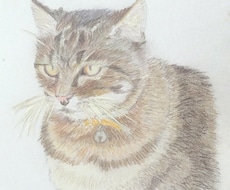 模写します 角度を変えた模写、写真の模写なんでも承ります！