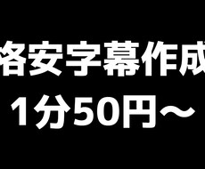 格安でタイムスタンプ付きの字幕を作ります イメージ1