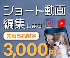先着5名様 ショート動画3,000円~で編集します イメージ1