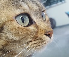 お話し聞きます イメージ1