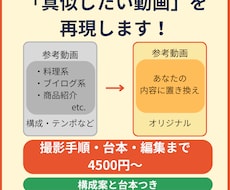 真似したい動画を再現して1本作ります イメージ1