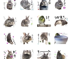 セール中！写真でラインスタンプ16枚作ります お好きな写真でLINEスタンプ16個制作！
