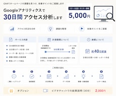 Googleアナリティクスで30日間分析します イメージ1