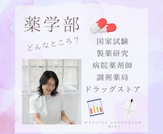 薬剤師になりたい方、ご相談にのります