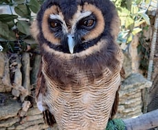 介護の悩み、現役主任ケアマネが相談に乗ります イメージ1
