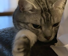 プログラミング(python)教えます カユい所に手が届く情報を提供いたします。