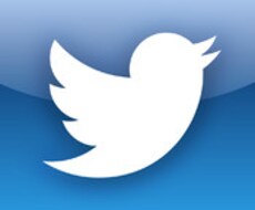 私がTwitterで初月48万円を稼いだ4つの手順をお教え致します。　【5/16無料枠追加！】