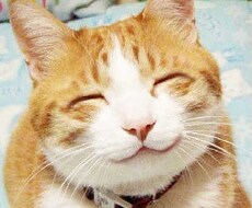 ゆるーくお話きくことならできます なかなか眠れない人どうぞお気軽に。話きいて少しでも楽に。