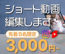 先着5名様 ショート動画3,000円~で編集します イメージ1