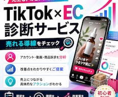 TikTok改善診断します イメージ1