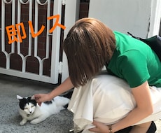 即レス✩.*˚LINE感覚で1時間チャットします 即レスです！1時間愚痴や相談などなど…などなど何でもどうぞ♡