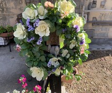 寄せ植えを作ります イメージ1