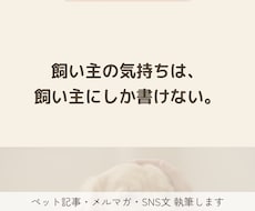 4匹を見送った経験で心に届くペット記事書きます イメージ1