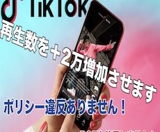 TIKTOK再生回数２００万回増やします イメージ1