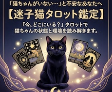 いなくなった猫ちゃんの居場所や様子を占います 【経験者が鑑定】脱走した愛猫の現状をタロットで占います