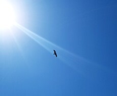 お悩みに最適な言葉をお伝えします お悩みを聞いて、相談者様に必要なお言葉をお伝えします。