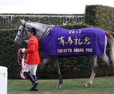 2017　有馬記念　一押し馬を教えます イメージ1