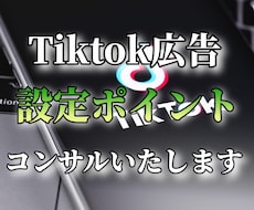 Tiktok広告の効果的な設定方法コンサルします 集客にお困りの皆様！Tiktokで効果的なPRをしませんか？