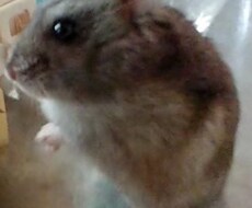 日々の不満や愚痴を聞きます イメージ1