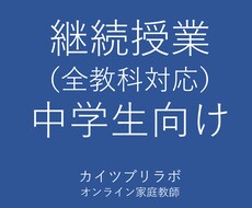 継続の方専用　60分授業ｘ月4回を行います イメージ1