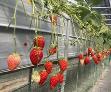 誰のどんなお話でも聞きます イメージ1