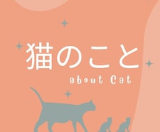 猫飼育歴30年の愛猫男が悩みにのります イメージ1