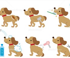 愛犬のお手入れの相談、お答えします イメージ1