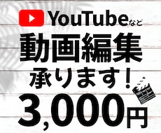 YouTubeなど★動画編集承ります 期間限定オプション半額！※2024.1.31まで