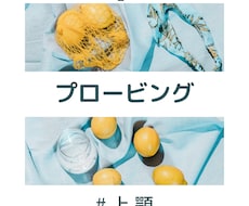 プロービング操作をわかりやすく伝授します イメージ1