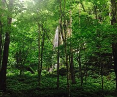 仕事、子育ての不安、愚痴、お聞きします イメージ1