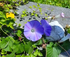 何かこぼしたい時、お聞きします イメージ1