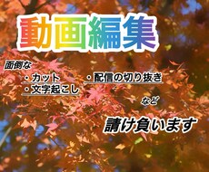 面倒な文字起こしやカット編集を行います イメージ1