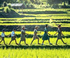 子育て中のママたちの発達相談・教育相談をします イメージ1