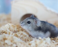 優しくお話聞きます!!否定しませんます イメージ1