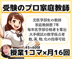 家庭教師歴7年の元医学部生が月16コマ指導します 週に4回指導を受けたい方はこちらのプランをどうぞ