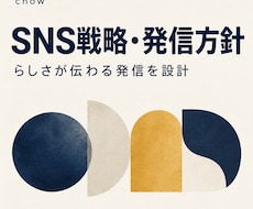 SNSの戦略と発信方針を設計します イメージ1