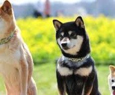 今吐き出したい事、お聞きします イメージ1