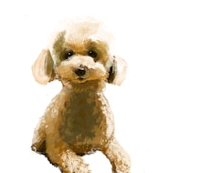 ペットの可愛い似顔絵を描きます イメージ1