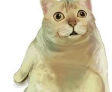 お気持ちに寄り添います イメージ1