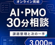 AI・PMOの悩みを30分で整理します 元外資ITコンサルが次の一手を一緒に決めます