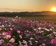 運命の流れ教えます イメージ1