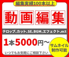 動画編集からサムネイルまで一括対応！丁寧に承ります イメージ1