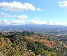 介護に関してのお悩み相談乗ります イメージ1