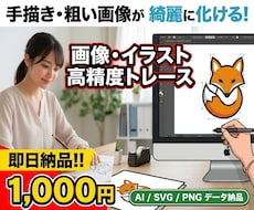 イラストや画像を即日ベクターデータ化トレースします イメージ1